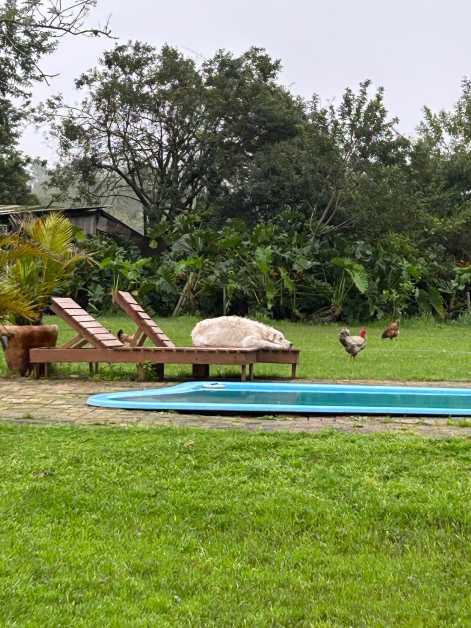 Pousada Charqueada Costa Do Abolengo Pelotas Eksteriør billede